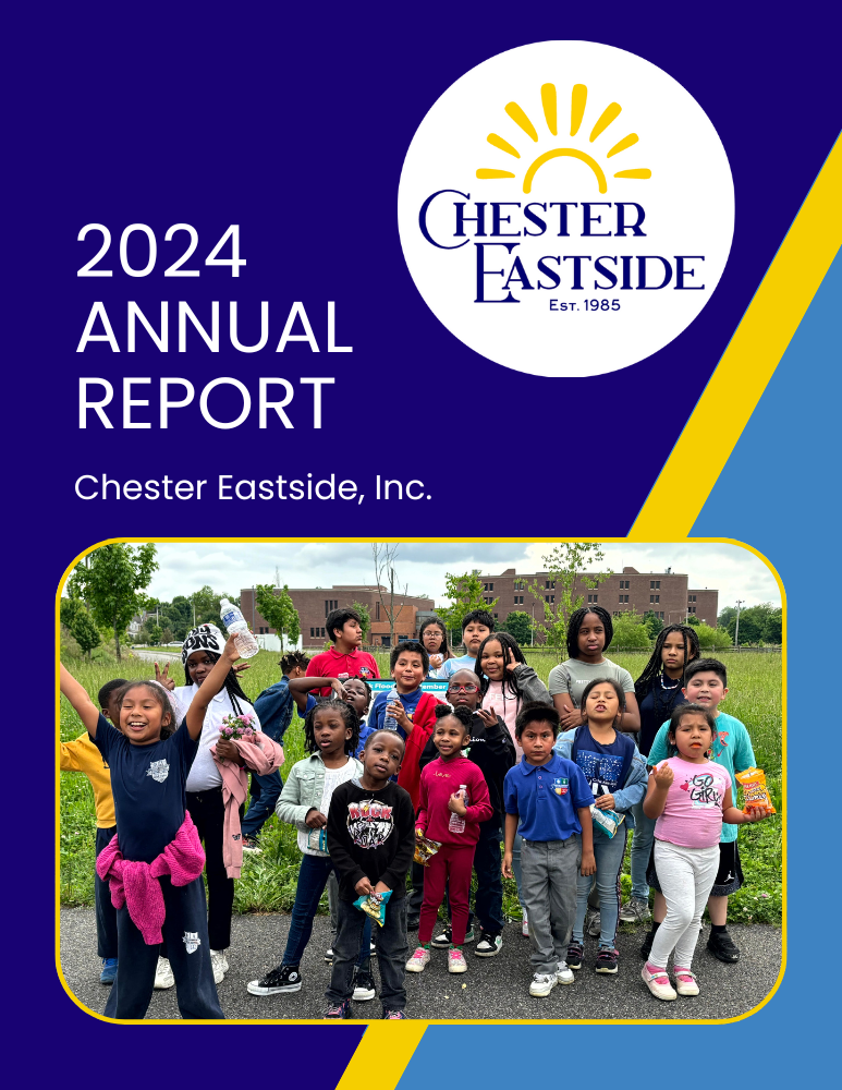 CEI Annual Report 2024 (3)