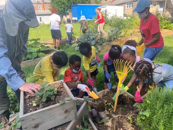 Camp Phoenix Begins Gardening